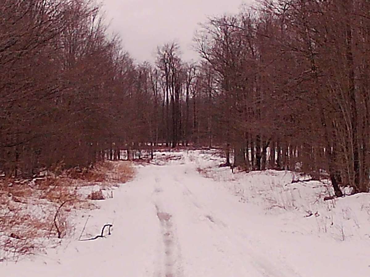 New Pond Road photo 6