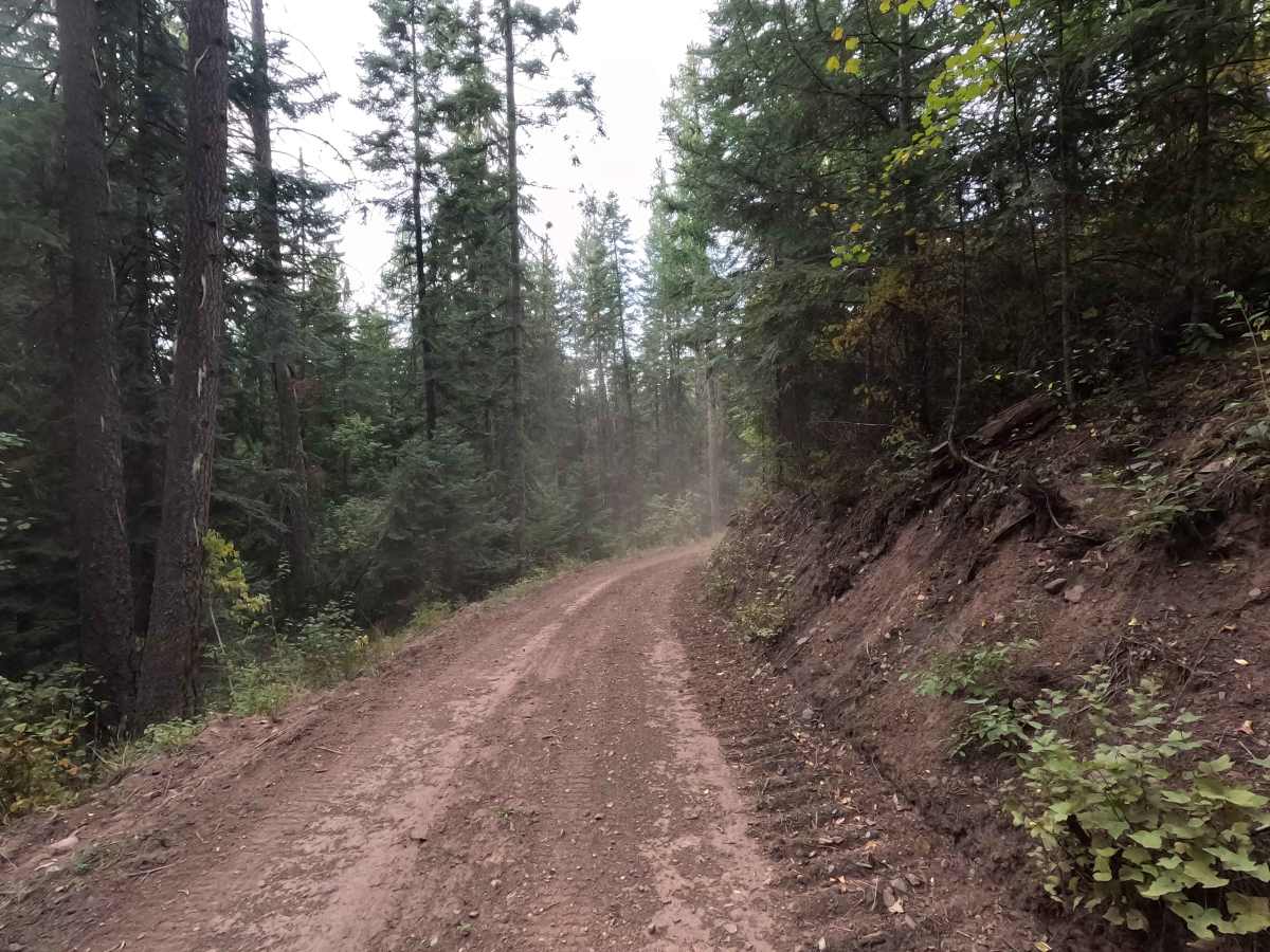 Half Moon Creek photo 3
