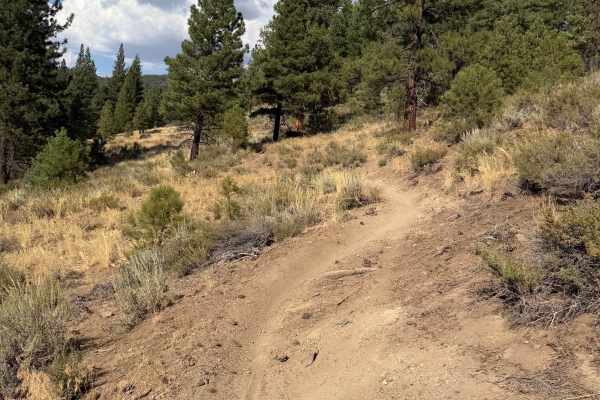Beer Run Trail Lower