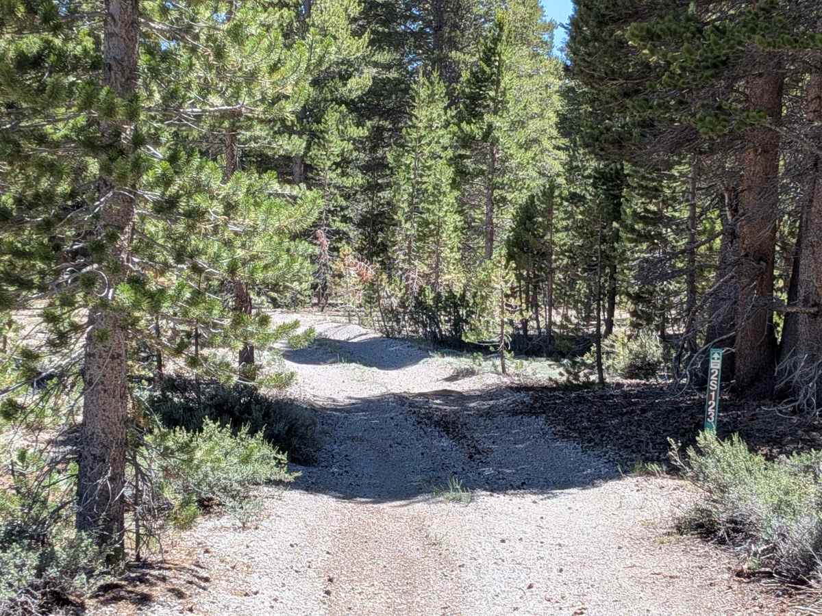 Forest Service Road 2S123 photo 4