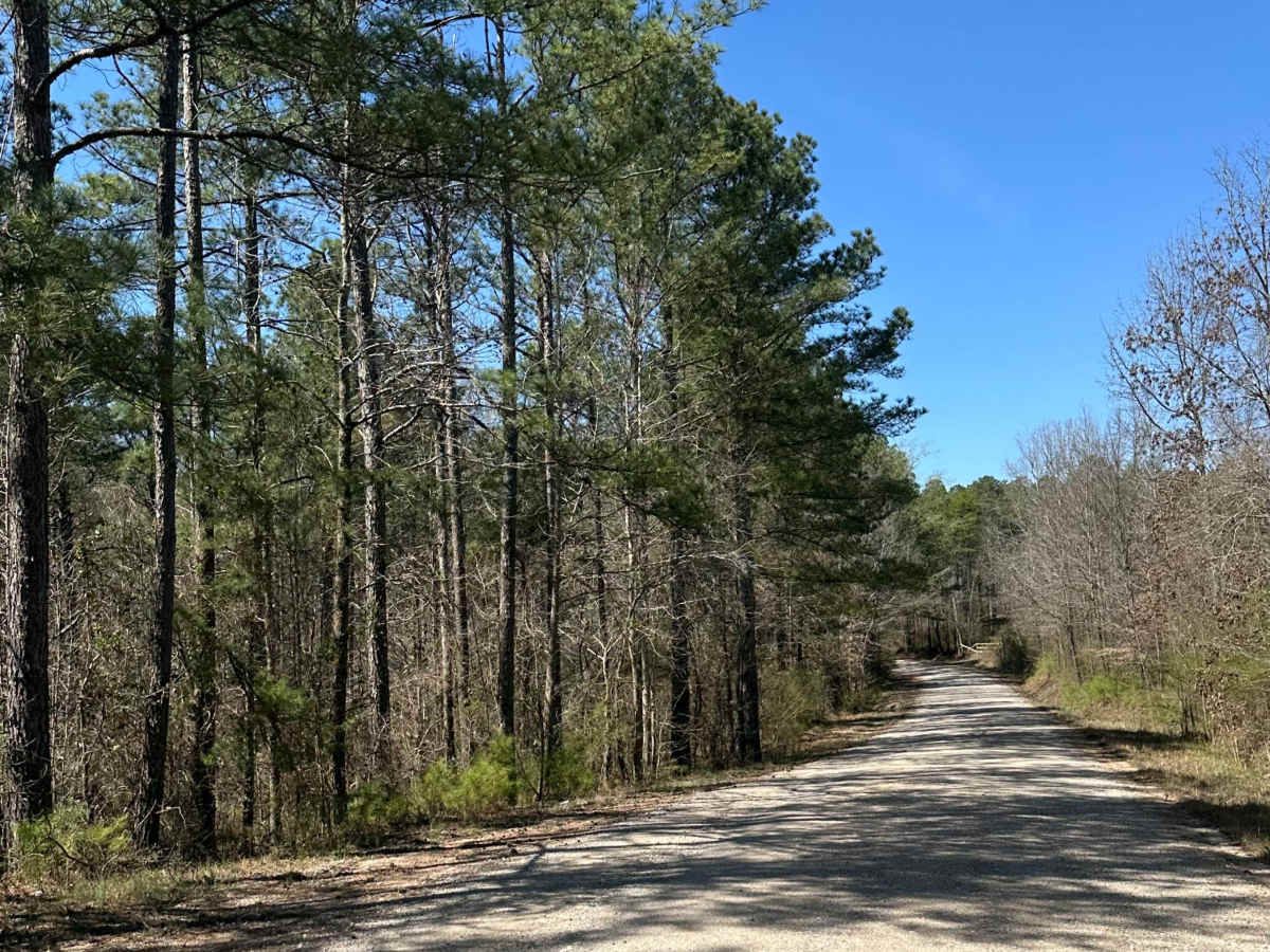 Suttles Road photo 4