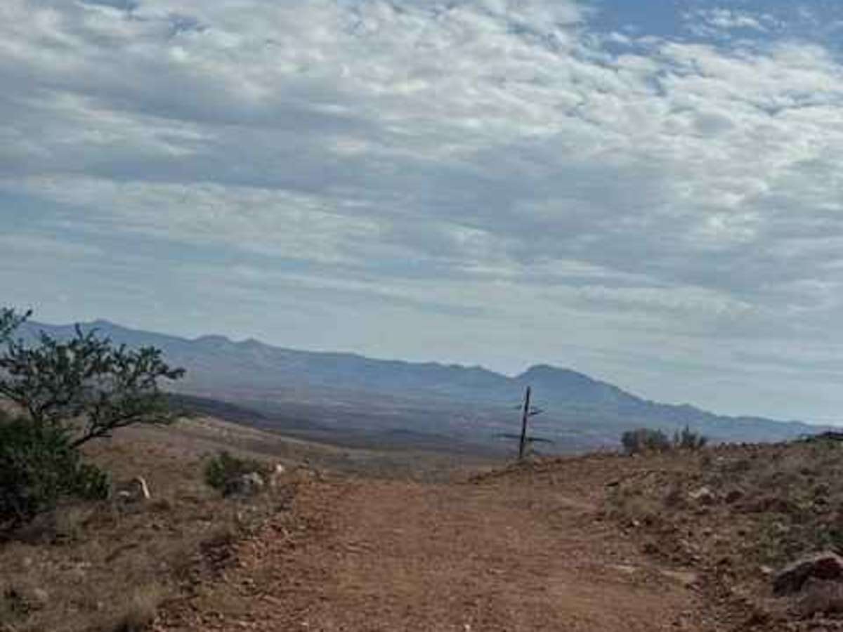 BLM SS1038 photo 2