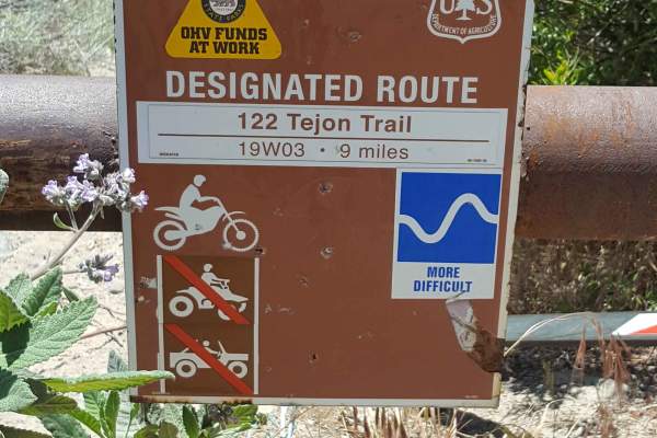 Tejon Trail - 19W03