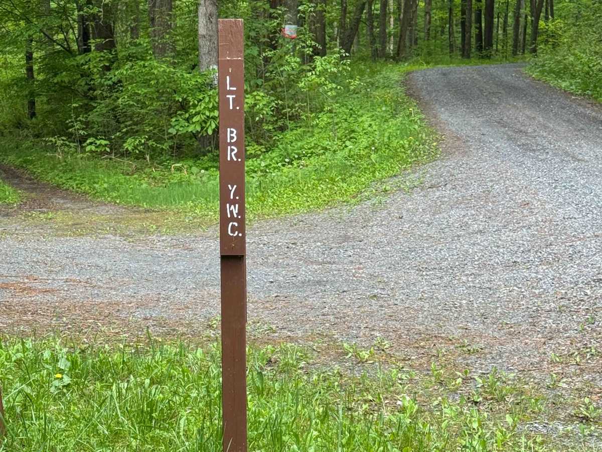 Left Branch Young Womans Creek Road trail photo