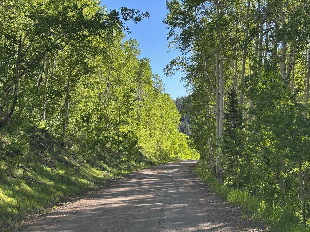 Meadow Lake Road photo 6