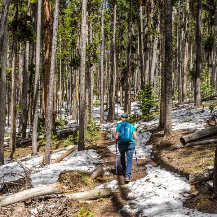 Near Cascade Lake Trail