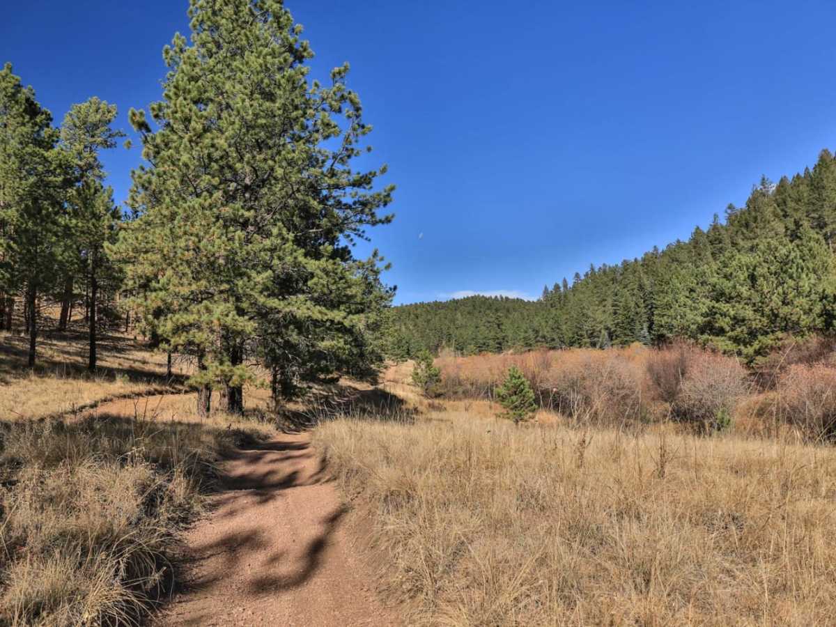 Trout Creek (FS 649) trail photo