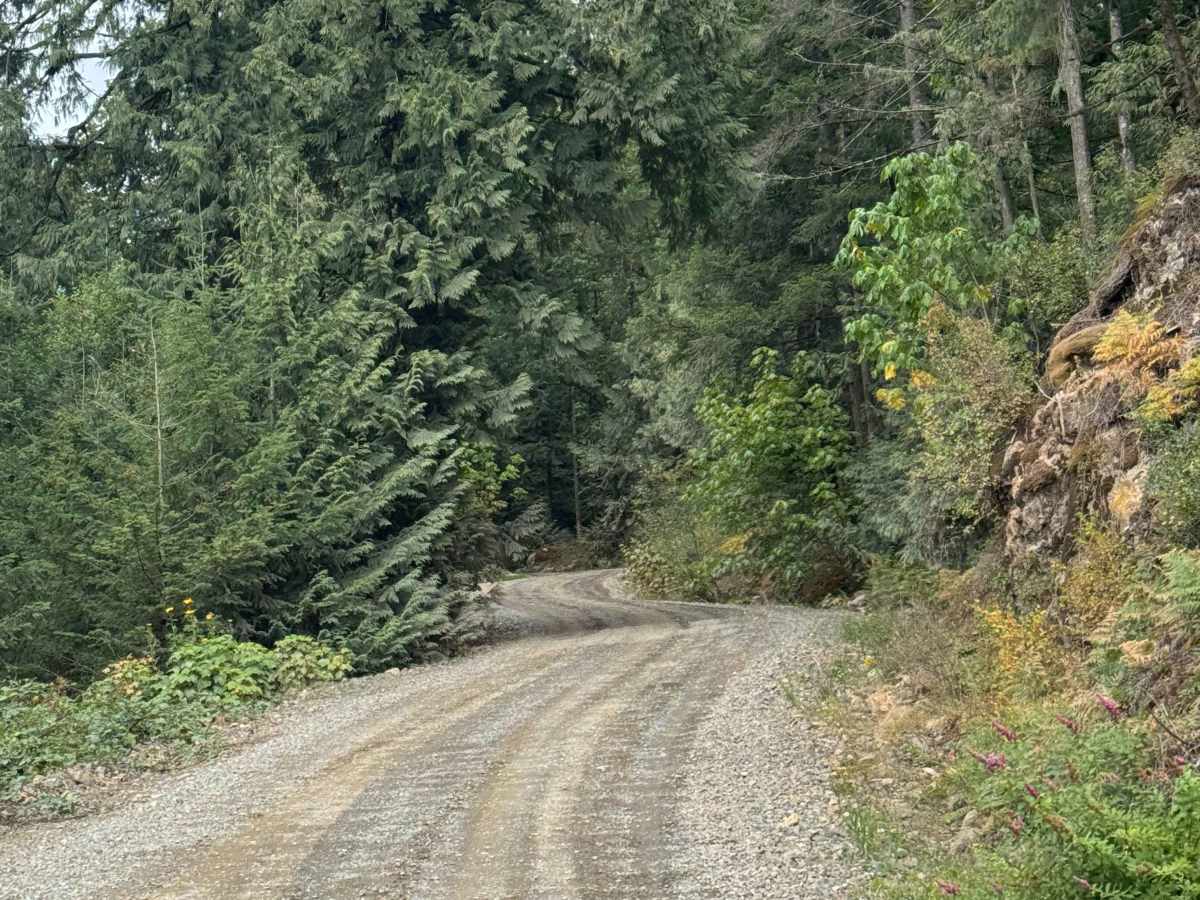 Weaver Lake - 1500 photo 6