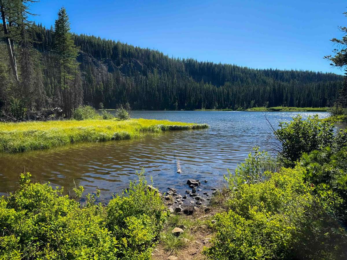 Manastash Lake - FS 1350  trail photo