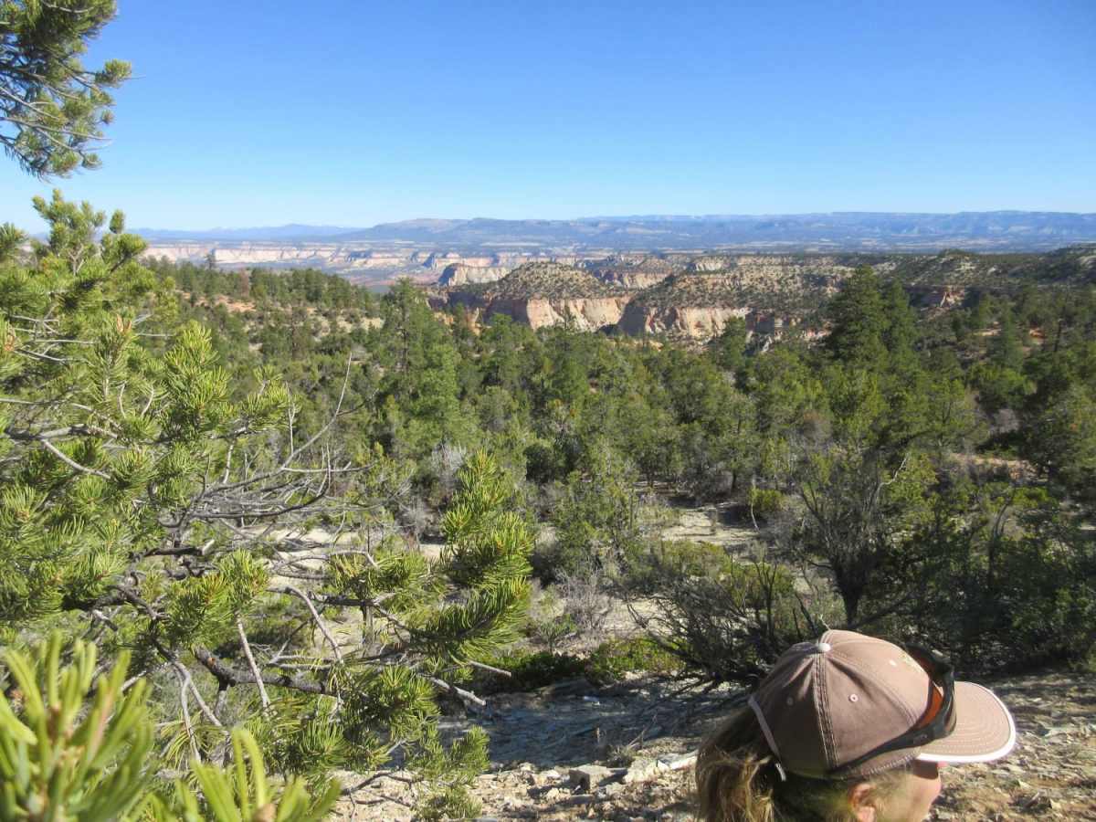 Black Mesa-Red Knoll Loop photo 4