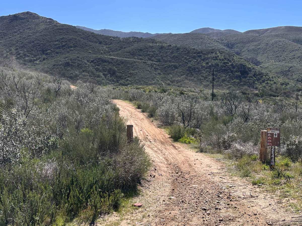 Allesandro Trail - 2E44 photo 2