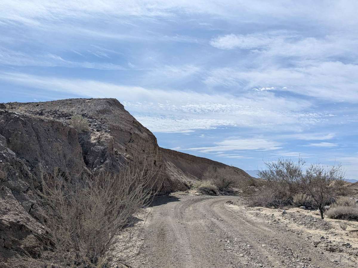 BLM 220 photo 4