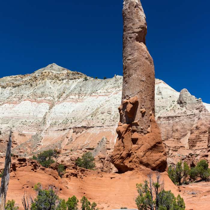 Near Panorama Trail - Main Loop