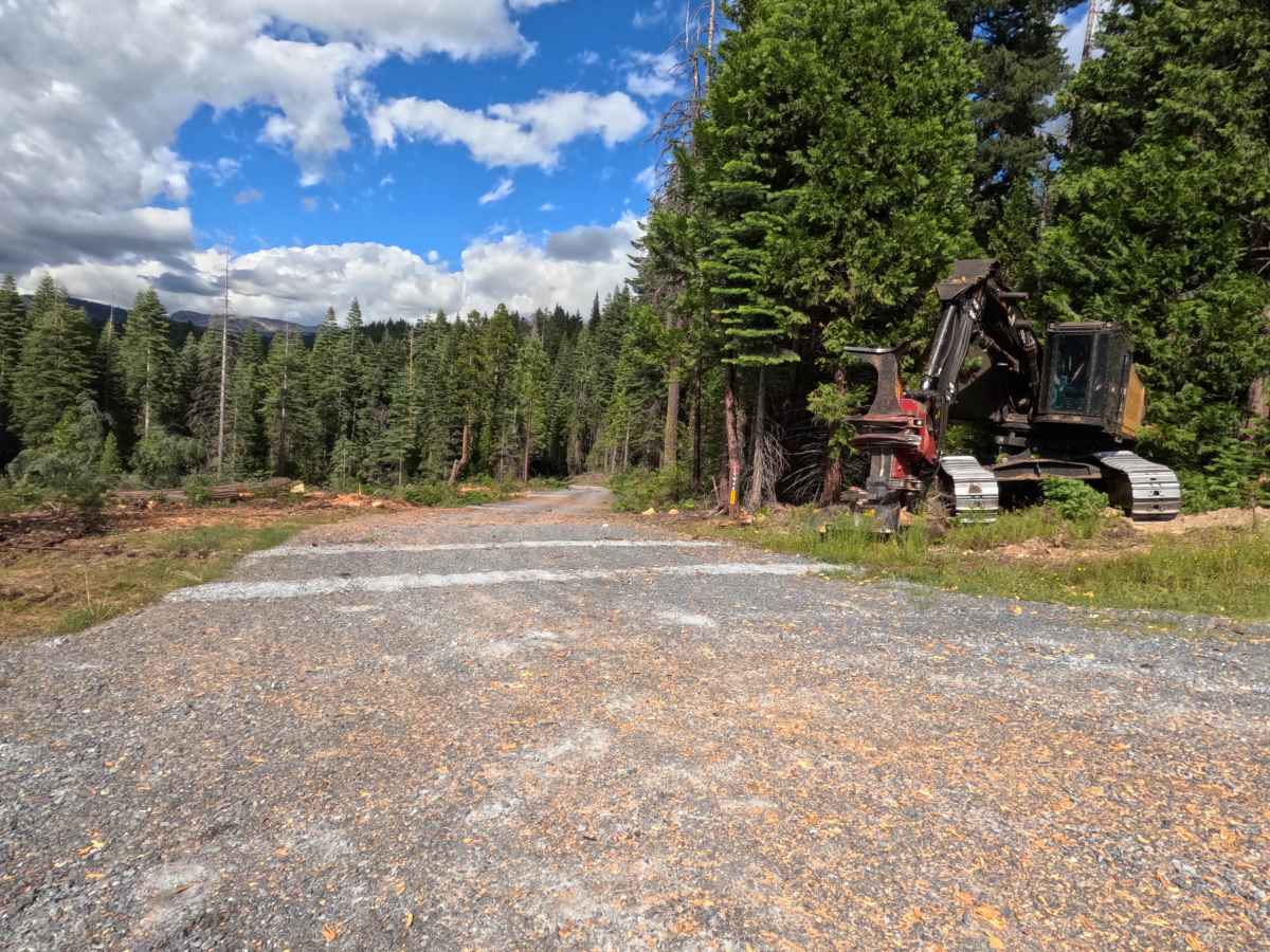 Driscoll Cabin Rd - FS 12N40 trail photo