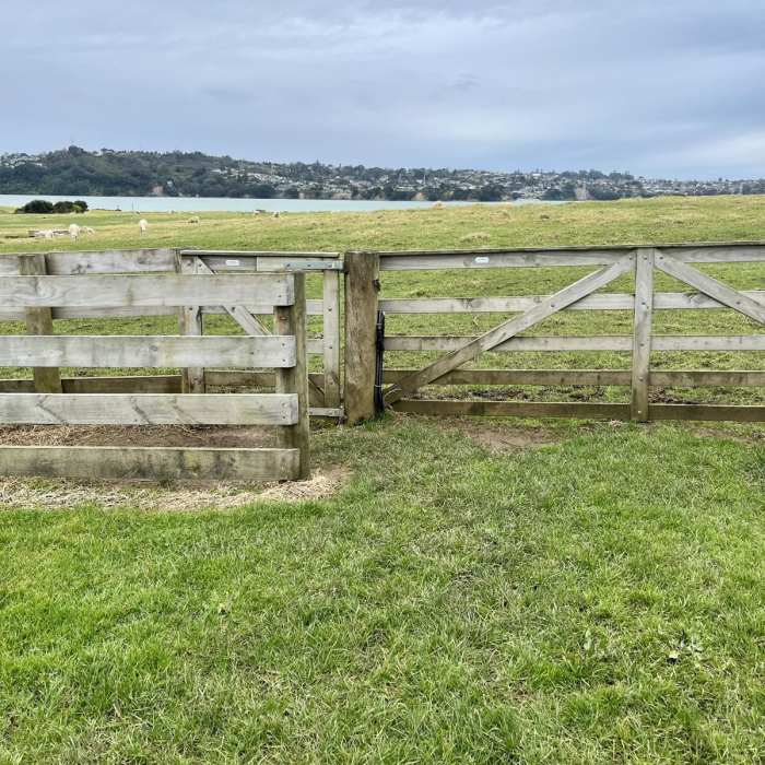Near Ambury Foreshore Path Near Ambury Foreshore Path