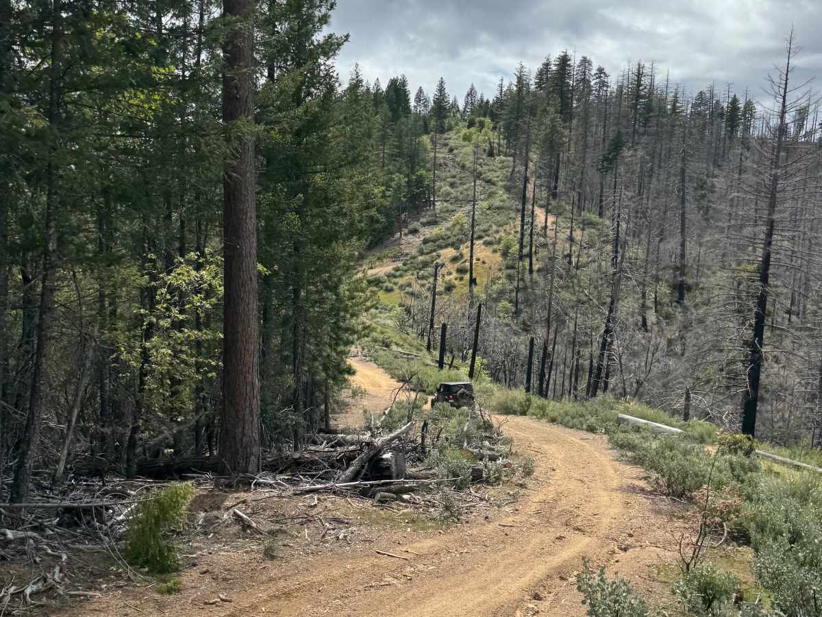 Rattlesnake 4x4 85467 trail photo