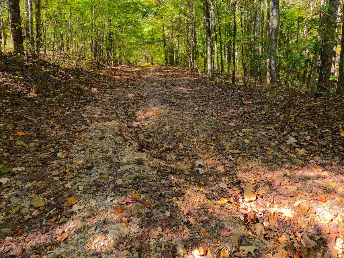 Cunningham Monument - FS 154A trail photo