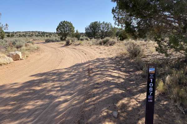 White Pocket Road