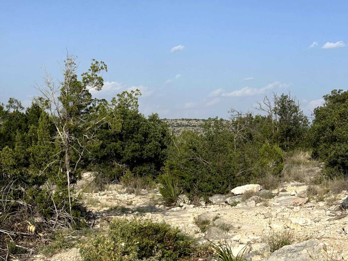 Big Draw Trail - V27 photo 3