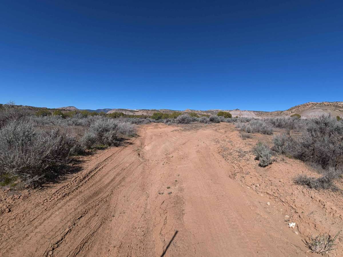 BLM 281 photo 5