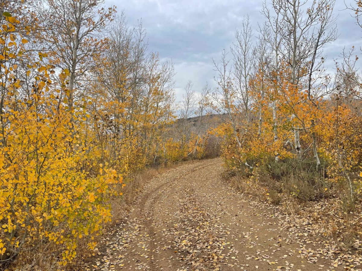 Lower Cold Spring photo 6