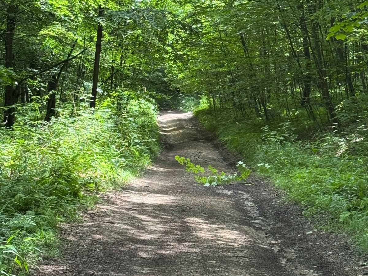Trail 35 photo 2