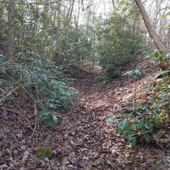 Near Unicoi Turnpike Trail