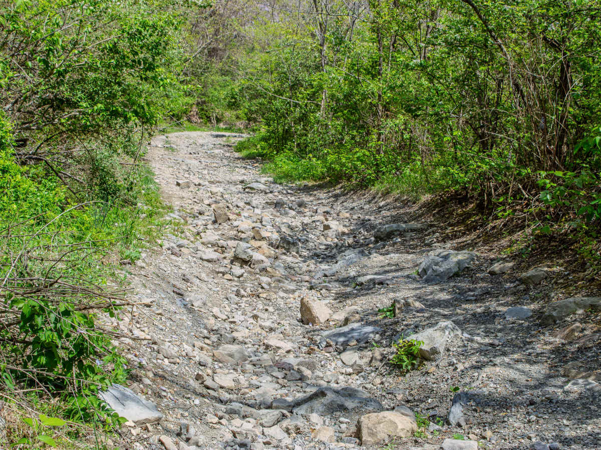 GS1 Trail photo 2