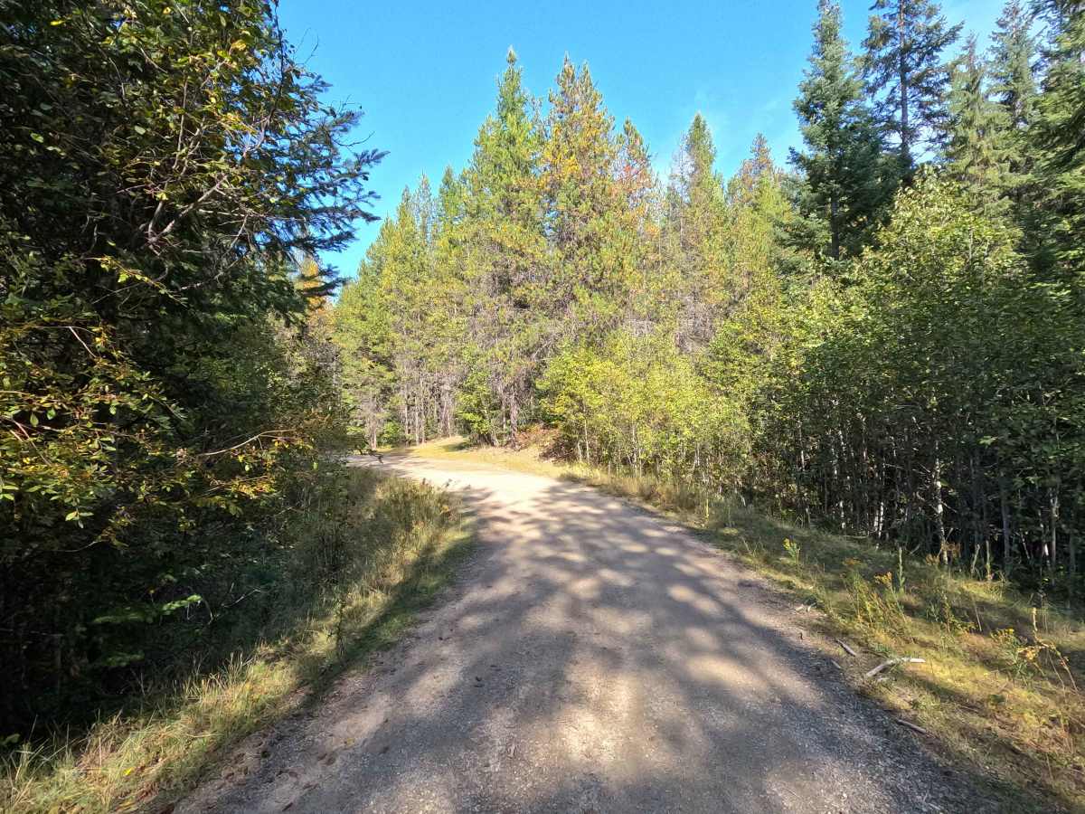 Healey Creek - FS 9517200 photo 3