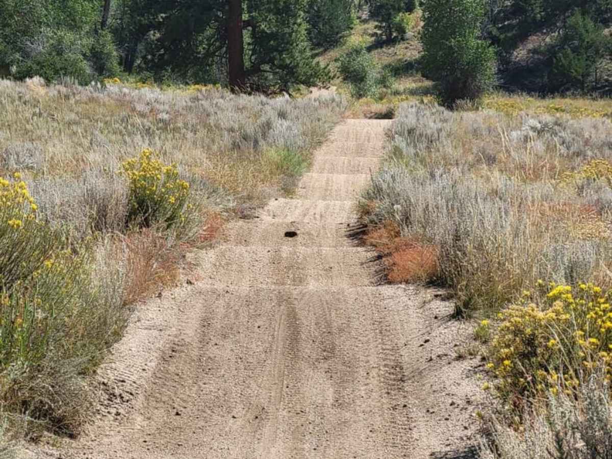 Rock N' Roll 2 (1434) trail photo
