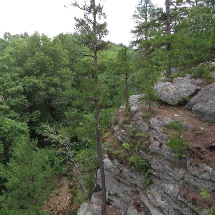 Bluff overlooking Pickle Creek and campground. Near Whispering Pine - North and South