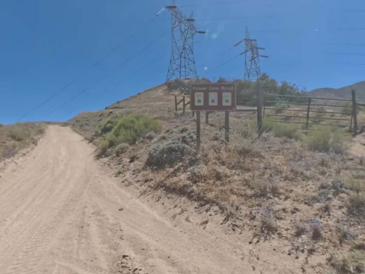 Powerline Road photo 2