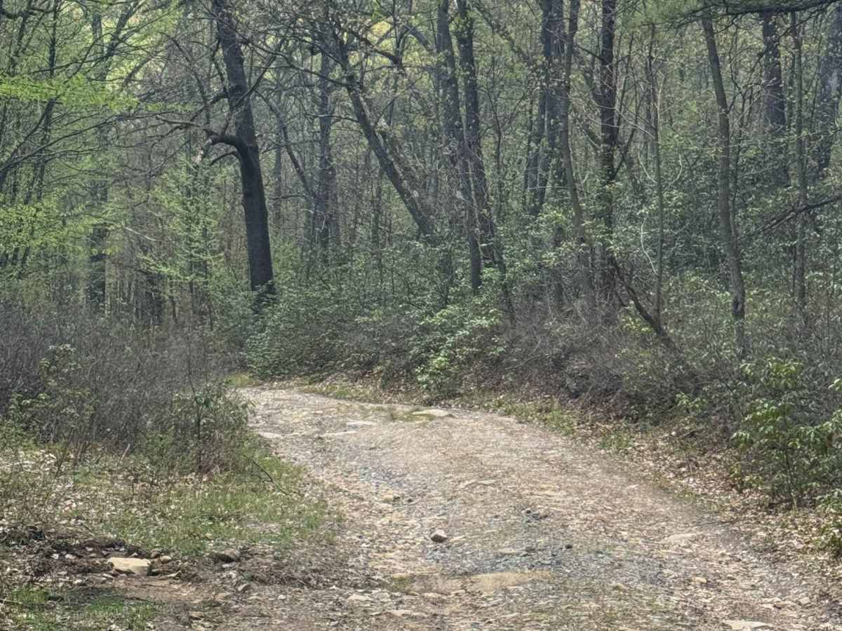 Fisher Road photo 5