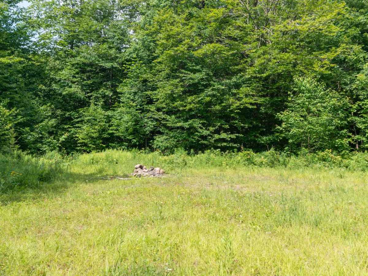 Deer Pond Road photo 4