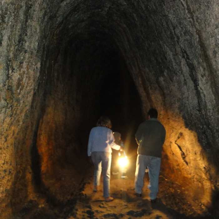 Near Volcano View Point Trail No 239A