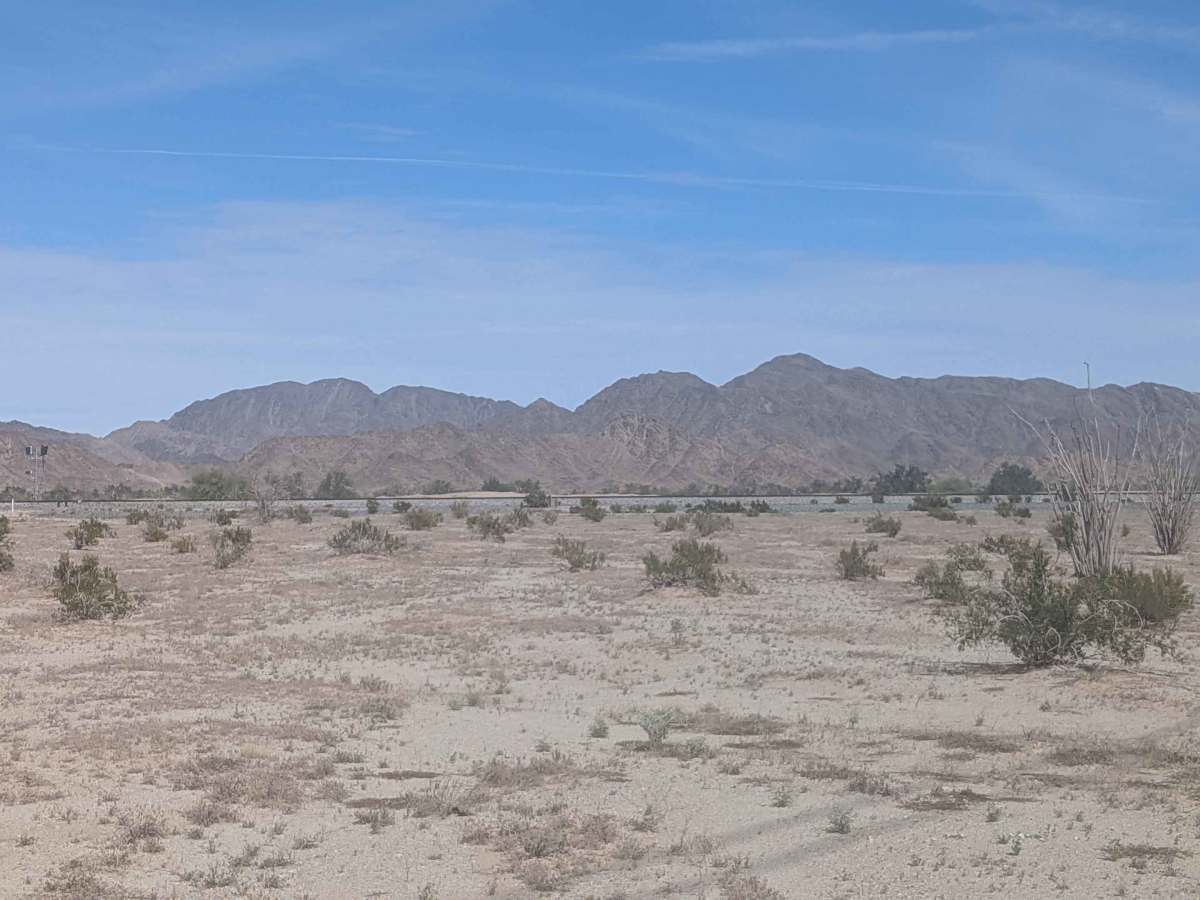 BLM 920 photo 6