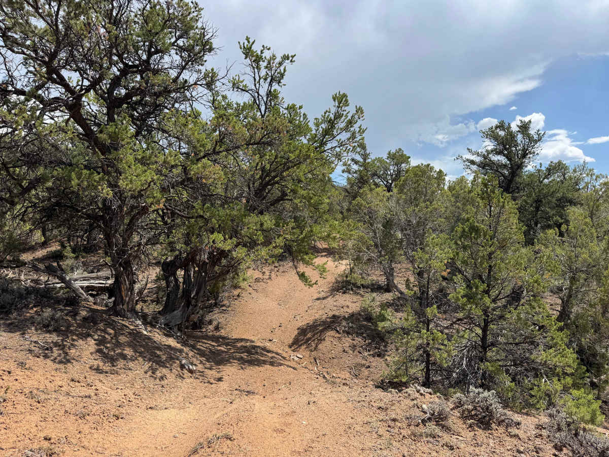 BLM 8457C photo 5