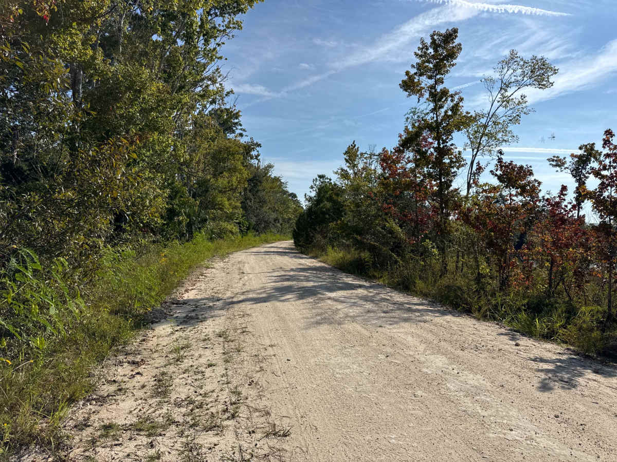 South Canal Road photo 6