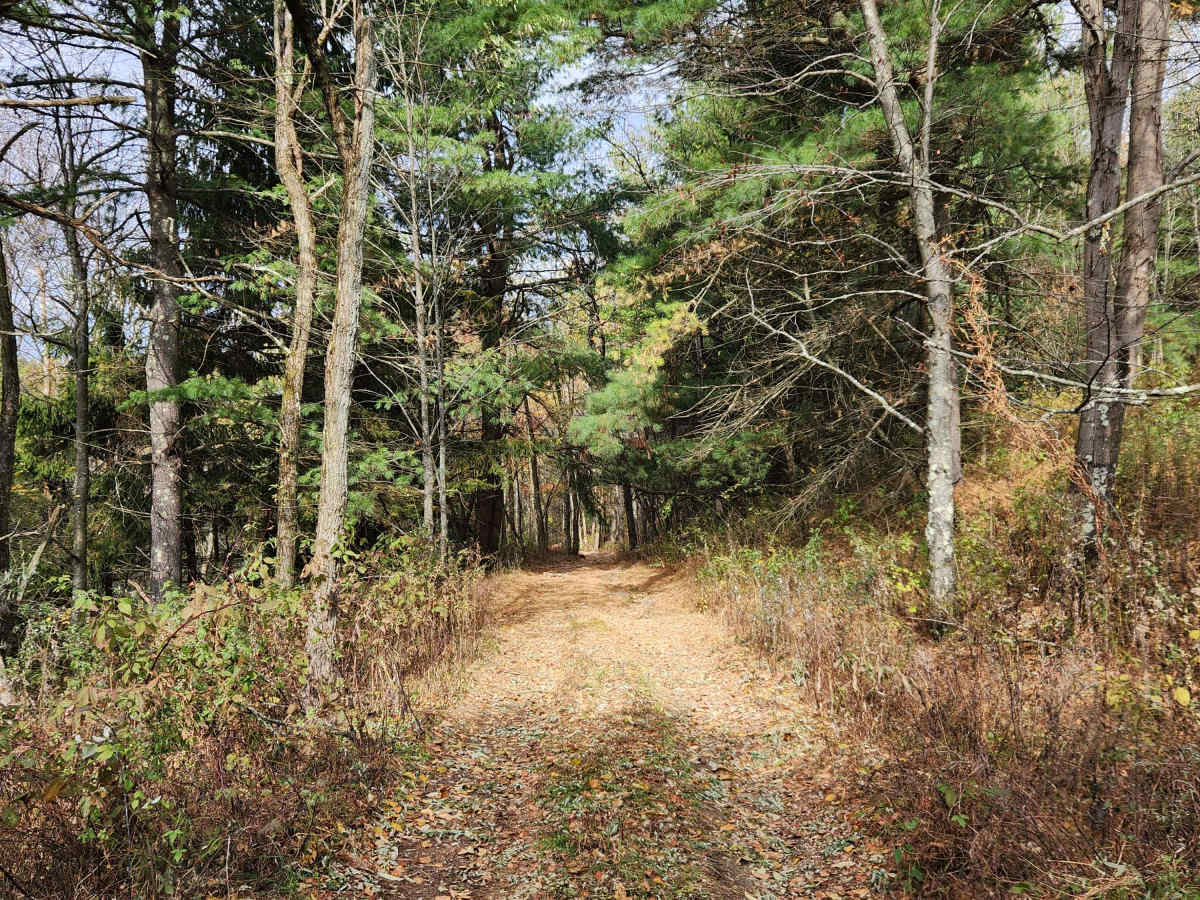 OHV 14 - Rock Run Recreation Area photo 6