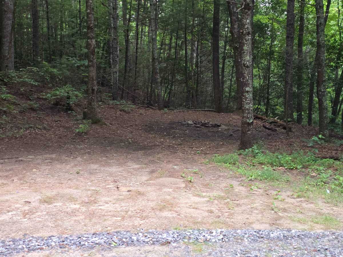Leatherwood Road - FS 6176 photo 4
