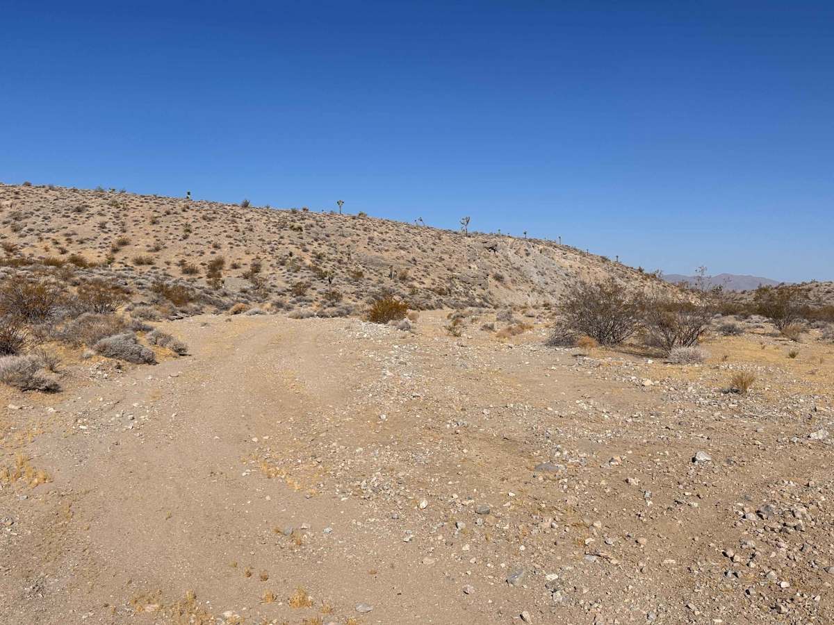 Open Range Trail trail photo