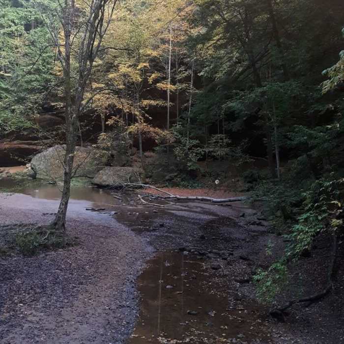 Gorge Trail (Grandma Gatewood Section of the Buckeye Trail). Old Man's Cave State Park. Near Gorge Overlook Trail