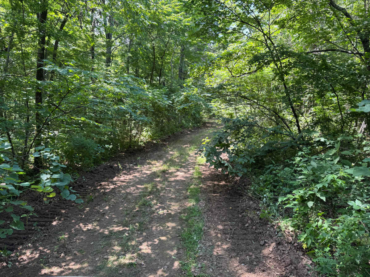 Napoleon knob trail photo