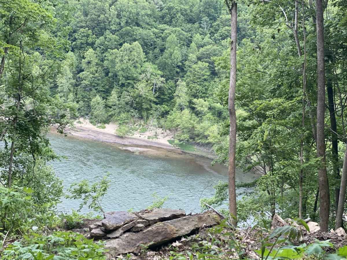 New River Gorge photo 6