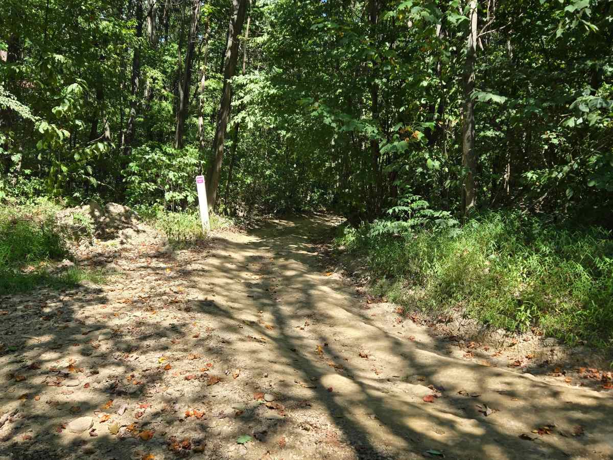 Trail 54  photo 4