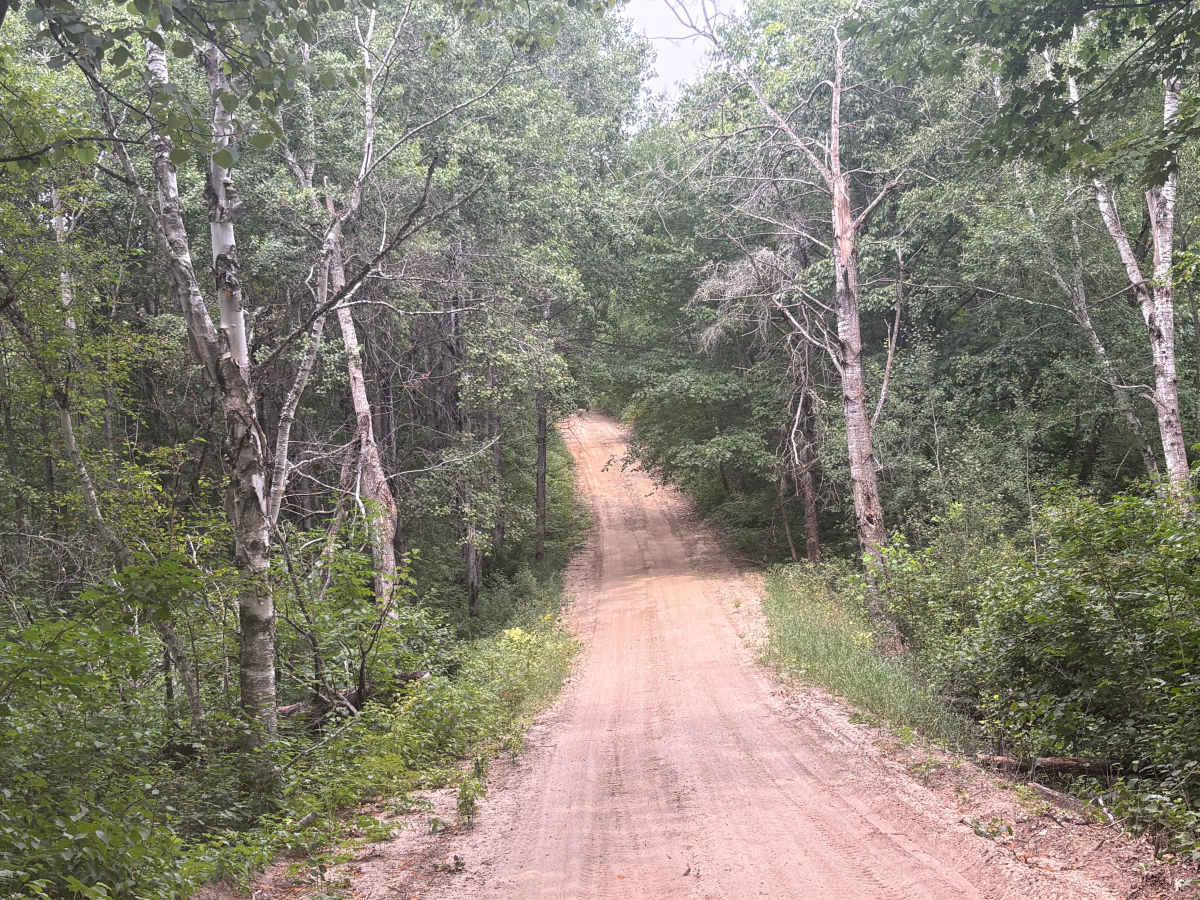 Navillus Forest Road photo 4