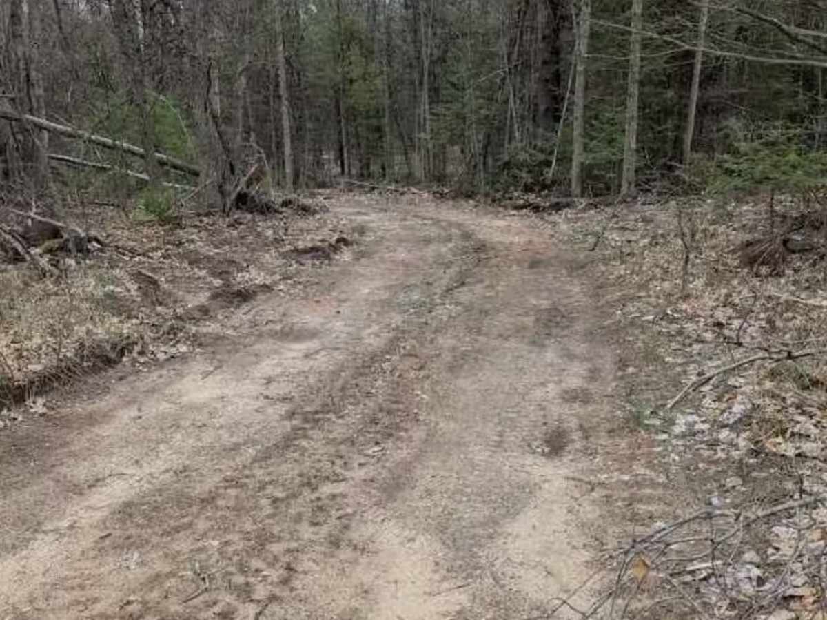 Curvy Cruise trail photo