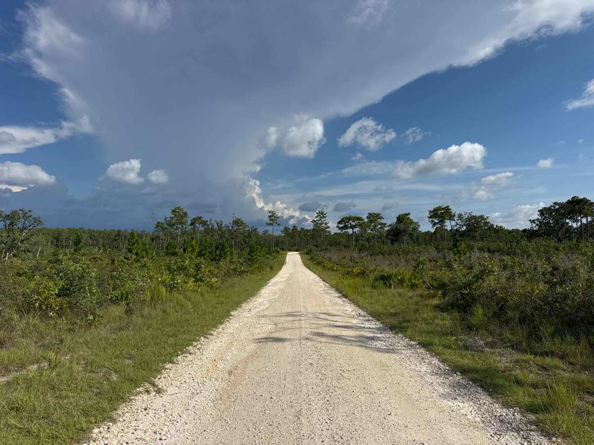 South Road trail photo