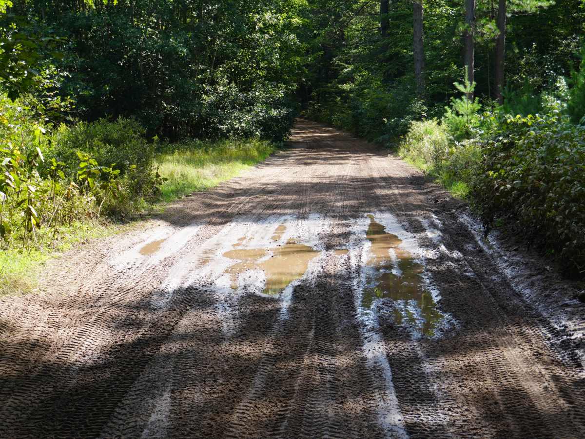 East Grass Lake Road photo 3