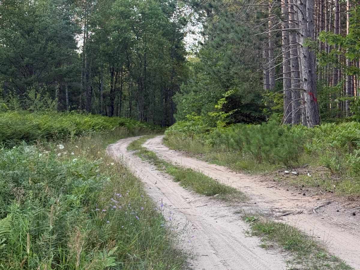 8.6-1/2 Trail photo 3